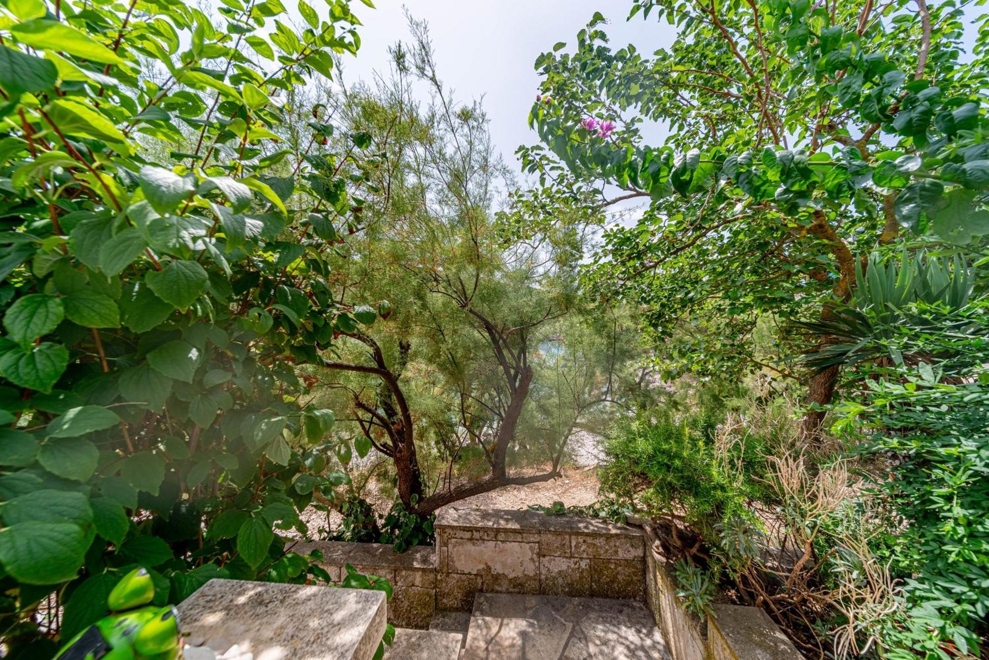 Seaside House For Families With Children Cove Rasohatica, Korcula - 4386 Lumbarda Buitenkant foto