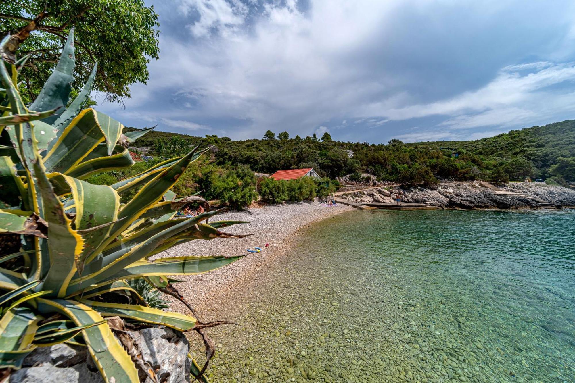 Seaside House For Families With Children Cove Rasohatica, Korcula - 4386 Lumbarda Buitenkant foto